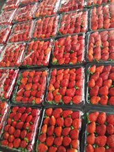 Load image into Gallery viewer, Strawberries (Cameron Highlands) - Per Pack 250 gm
